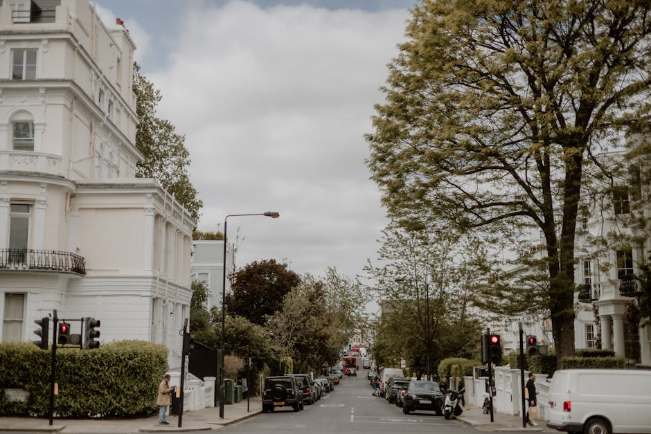 A street scene in Hampstead showing several white Victorian-style residential buildings with ornate architectural details, including balconies and decorative moldings, lining both sides of the road. The street is busy with parked cars along the curb, including a white van and other vehicles, and a few pedestrians walking on the pavements. Tall trees with green foliage extend over the street, and there are traffic lights visible at the intersection, with some lights showing red. In the foreground, a person can be seen near a small hedge, possibly managing belongings or waiting, while in the background, a moving process may be underway as part of a home relocation or furniture transport service by Man and Van Hampstead, connected to packing, loading, or vehicle unloading activities.